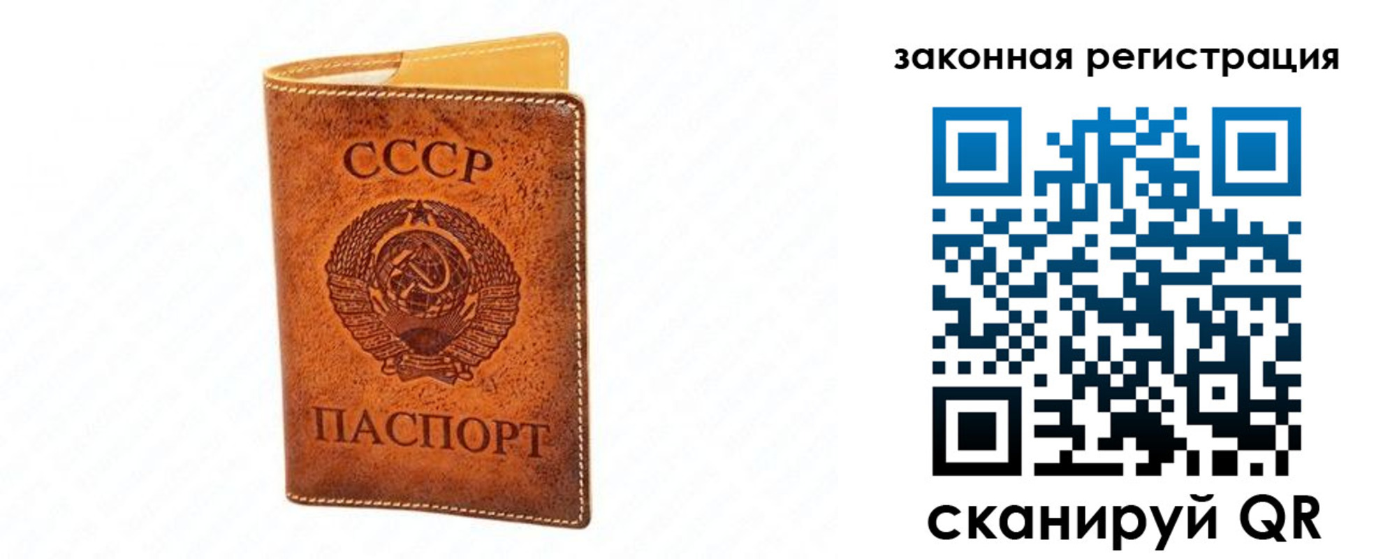 прописка паспорт в Светлом