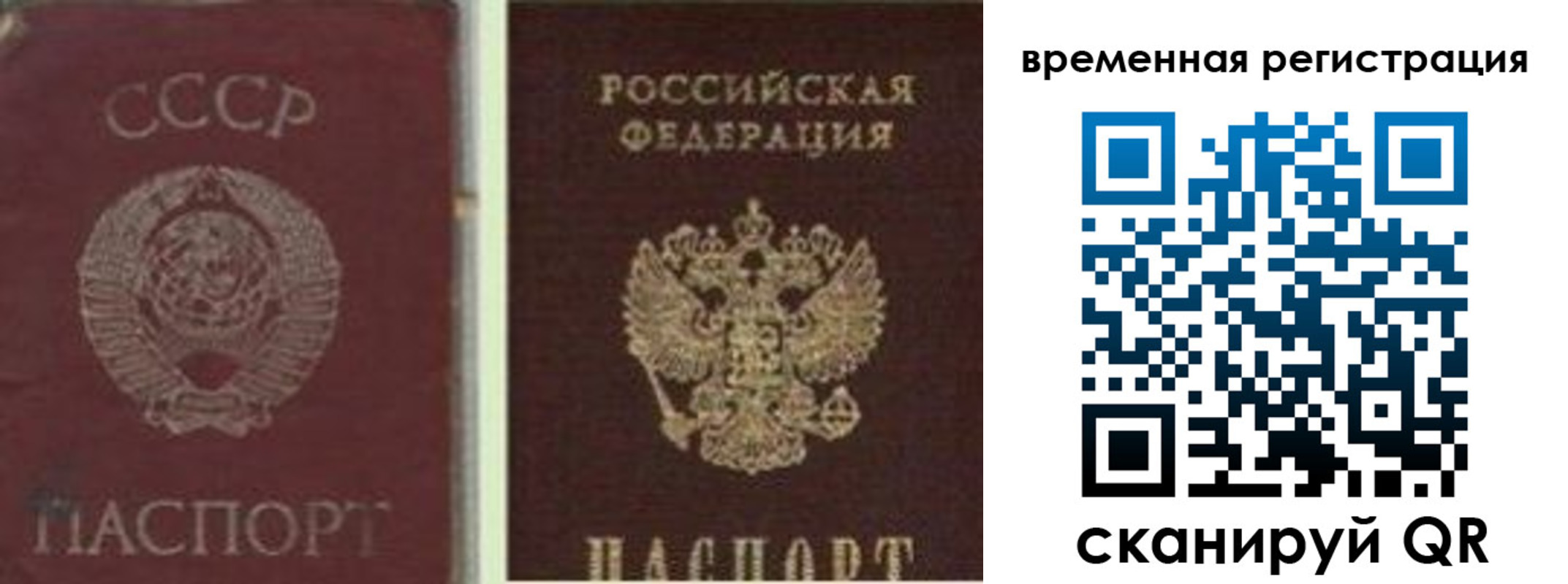 найти адрес прописки в Светлом
